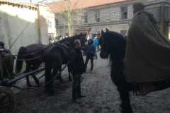 WhatsApp-Image-2026-02-25-at-15.48.47-2